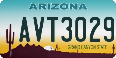 AZ license plate AVT3029