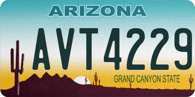 AZ license plate AVT4229
