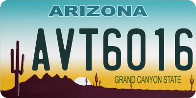 AZ license plate AVT6016