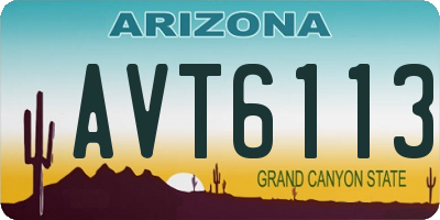 AZ license plate AVT6113
