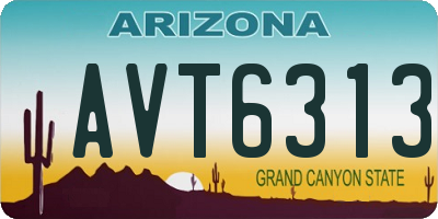 AZ license plate AVT6313