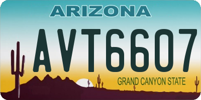 AZ license plate AVT6607