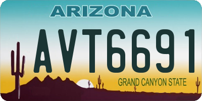AZ license plate AVT6691