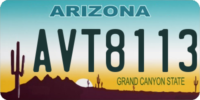 AZ license plate AVT8113