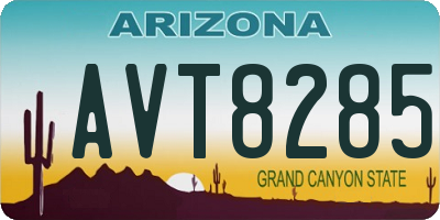 AZ license plate AVT8285