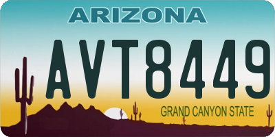 AZ license plate AVT8449