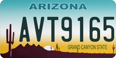 AZ license plate AVT9165