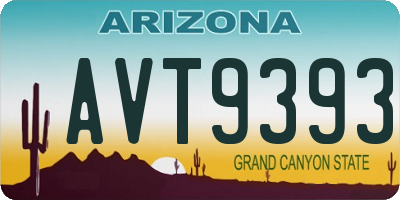 AZ license plate AVT9393