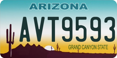 AZ license plate AVT9593