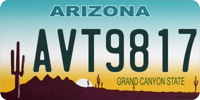 AZ license plate AVT9817