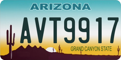 AZ license plate AVT9917