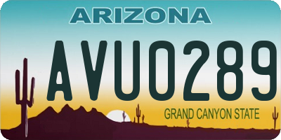 AZ license plate AVU0289