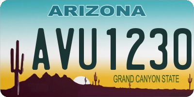 AZ license plate AVU1230