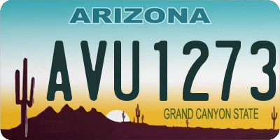 AZ license plate AVU1273