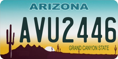 AZ license plate AVU2446