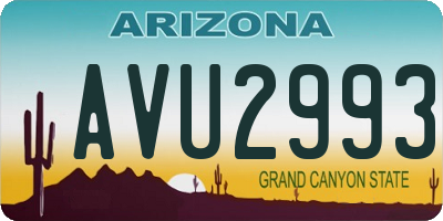 AZ license plate AVU2993