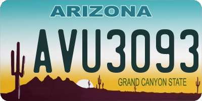 AZ license plate AVU3093