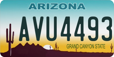 AZ license plate AVU4493