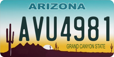 AZ license plate AVU4981
