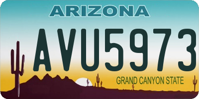 AZ license plate AVU5973
