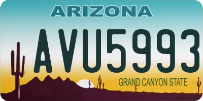 AZ license plate AVU5993