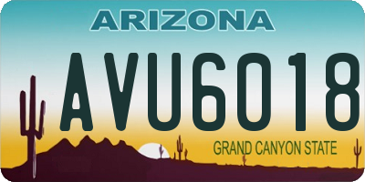 AZ license plate AVU6018