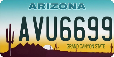 AZ license plate AVU6699