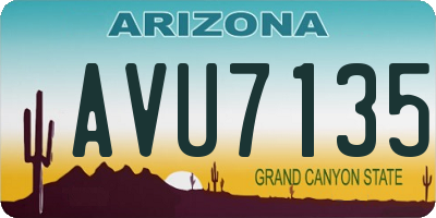 AZ license plate AVU7135