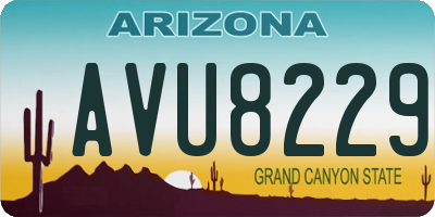AZ license plate AVU8229