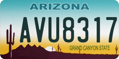 AZ license plate AVU8317