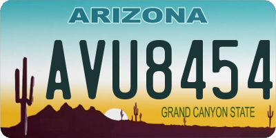 AZ license plate AVU8454
