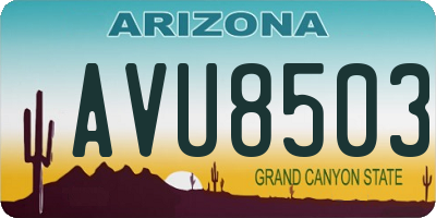 AZ license plate AVU8503