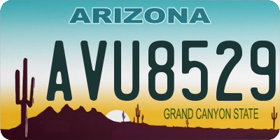AZ license plate AVU8529