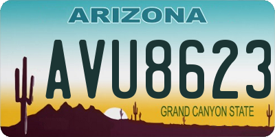 AZ license plate AVU8623