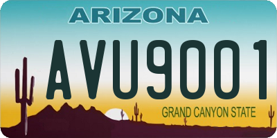 AZ license plate AVU9001