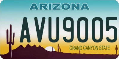 AZ license plate AVU9005