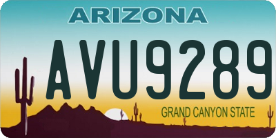 AZ license plate AVU9289