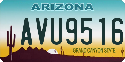 AZ license plate AVU9516
