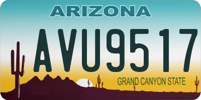 AZ license plate AVU9517