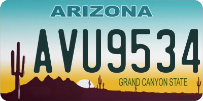AZ license plate AVU9534