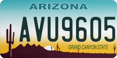AZ license plate AVU9605