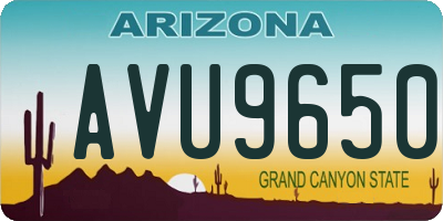 AZ license plate AVU9650