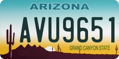 AZ license plate AVU9651