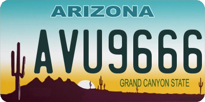 AZ license plate AVU9666