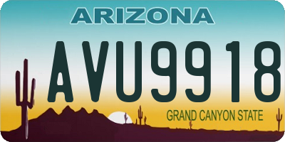 AZ license plate AVU9918