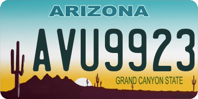 AZ license plate AVU9923