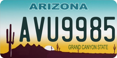 AZ license plate AVU9985