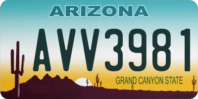 AZ license plate AVV3981