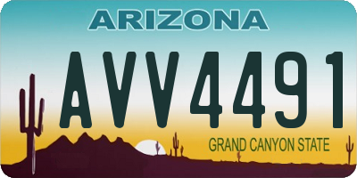 AZ license plate AVV4491
