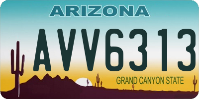 AZ license plate AVV6313